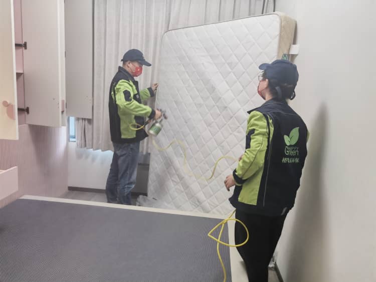 武汉新房除甲醛莫慌!这4种方法,科学高效不踩坑