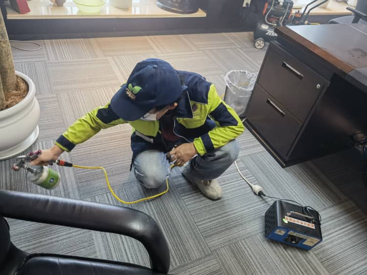 武汉新车污染别忽视！7 招防范 + 科学治理更安心