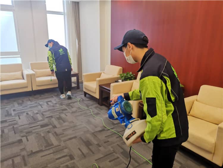 武汉新房除甲醛!10种吸醛植物+科学方案更靠谱